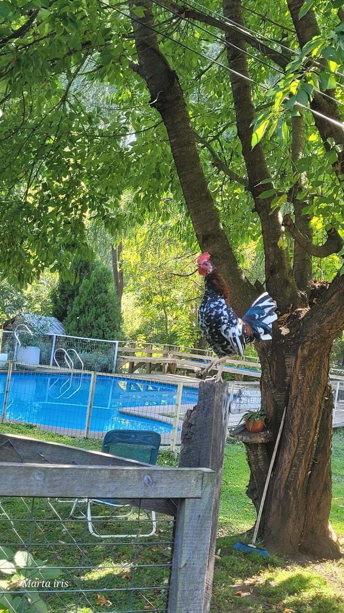Cabanas Aguas Claras Pinto Cameră foto